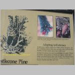 20060820_19BryceCanyon_006 copia.jpg